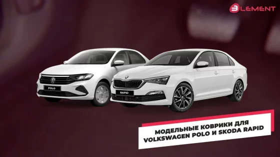 Модельные коврики в салон для Volkswagen Polo и Skoda Rapid
